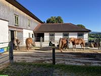 Offenstallplatz an Pony abzugeben, Hohentannen TG