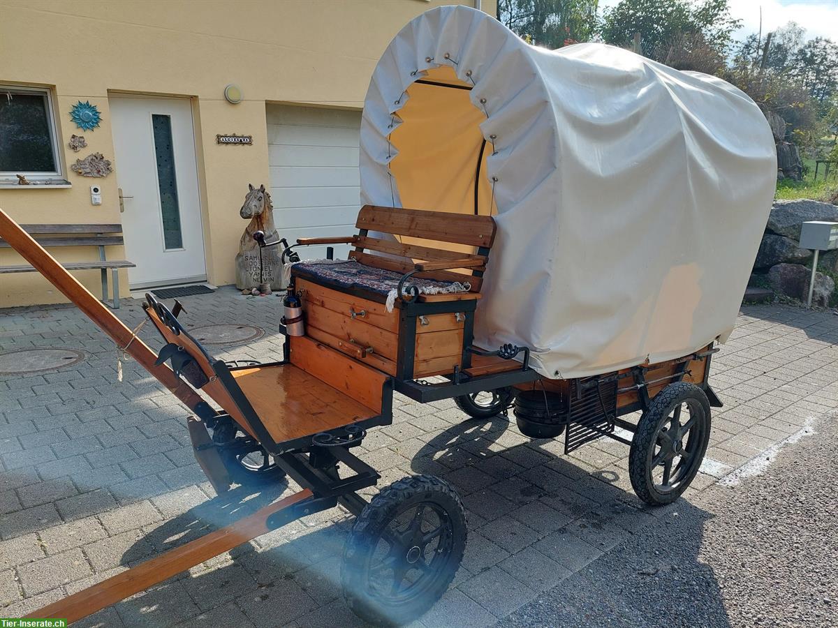 Pony Planwagen, Shetty Kutschen und Sättel