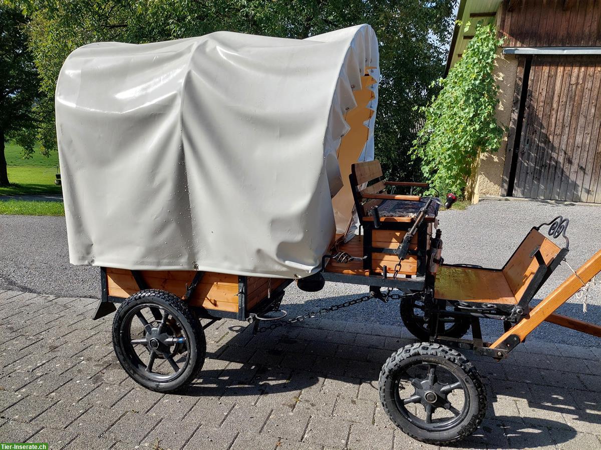 Bild 2: Pony Planwagen, Shetty Kutschen und Sättel