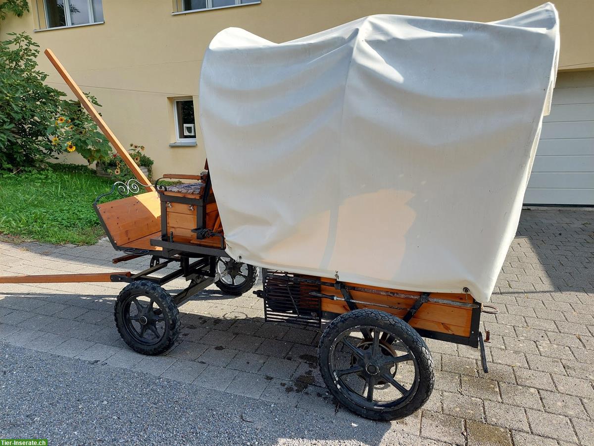 Bild 3: Pony Planwagen, Shetty Kutschen und Sättel
