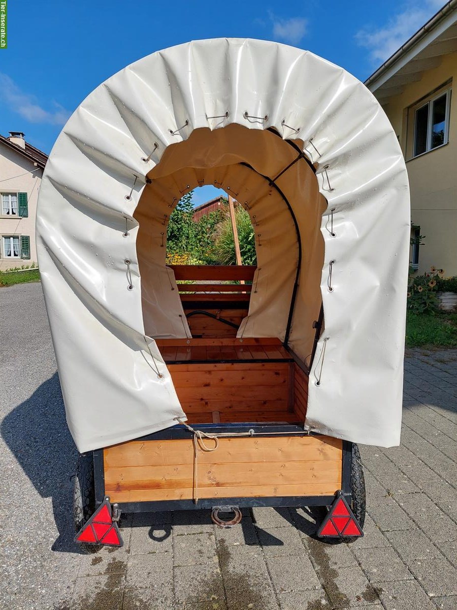 Bild 4: Pony Planwagen, Shetty Kutschen und Sättel