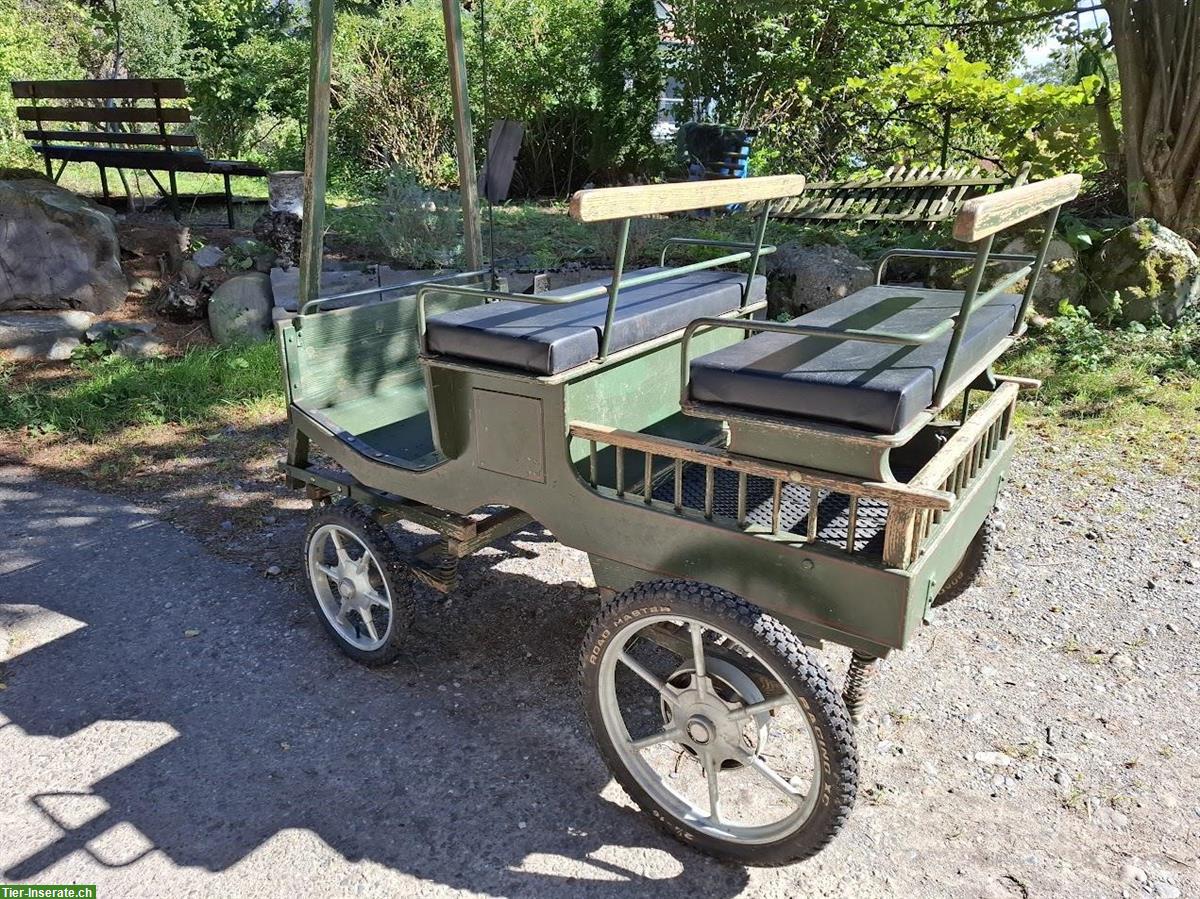 Bild 6: Pony Planwagen und Shetty Kutschen