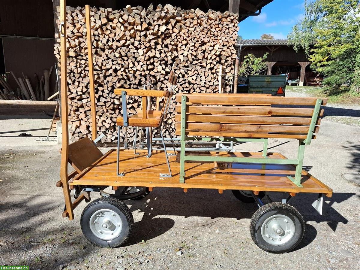 Bild 7: Pony Planwagen und Shetty Kutschen