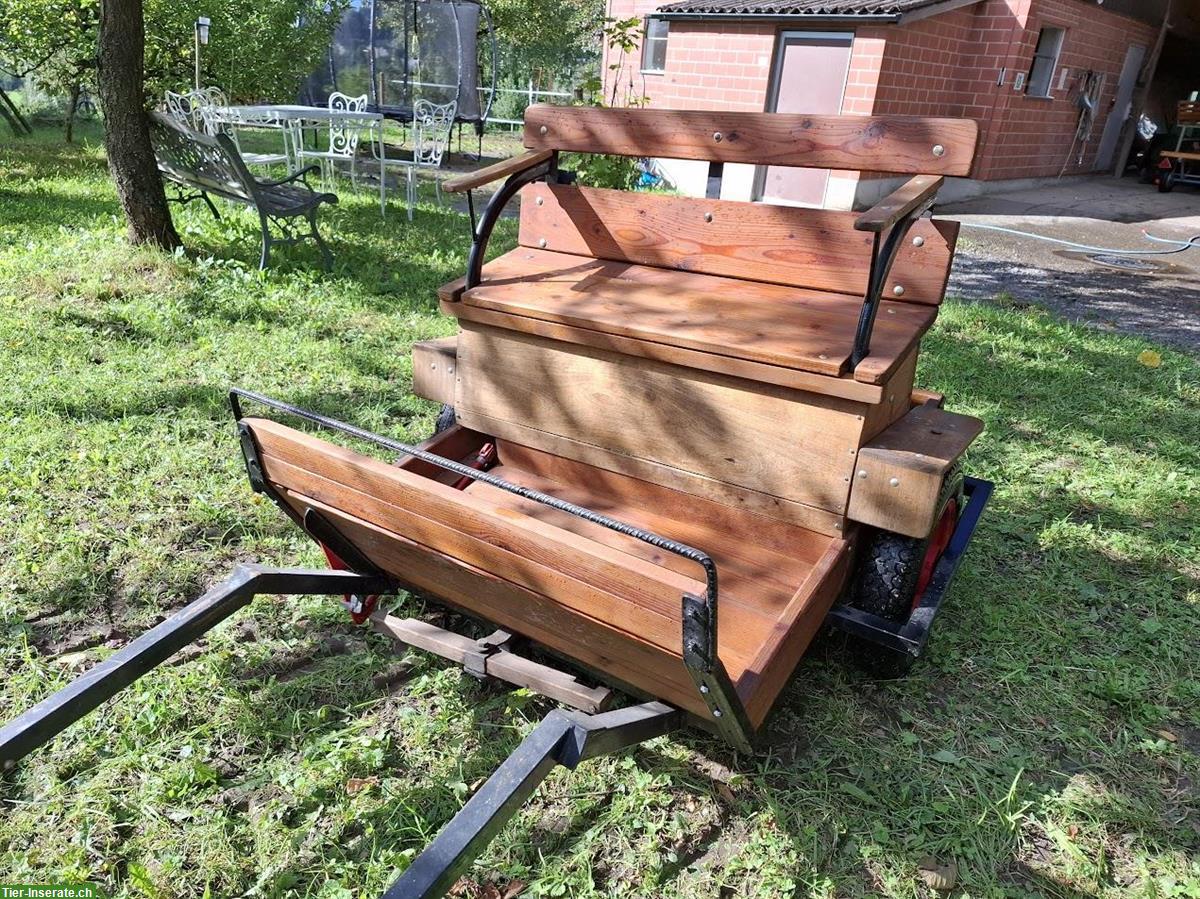 Bild 8: Pony Planwagen und Shetty Kutschen