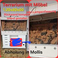 Terrarium mit Untermöbel und einiges Zubehör