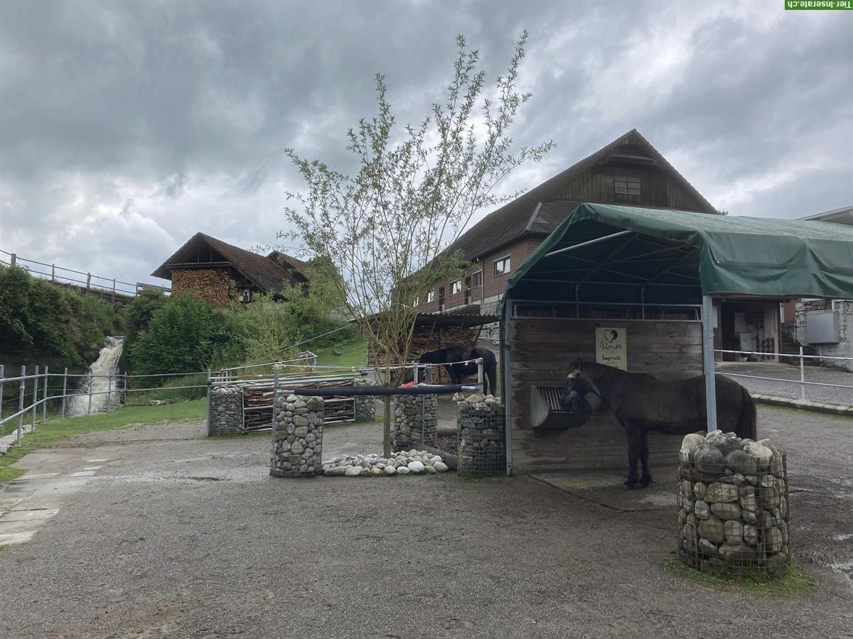 Bild 6: Pensionsplatz frei in Offenstall in Rain, Kanton Luzern
