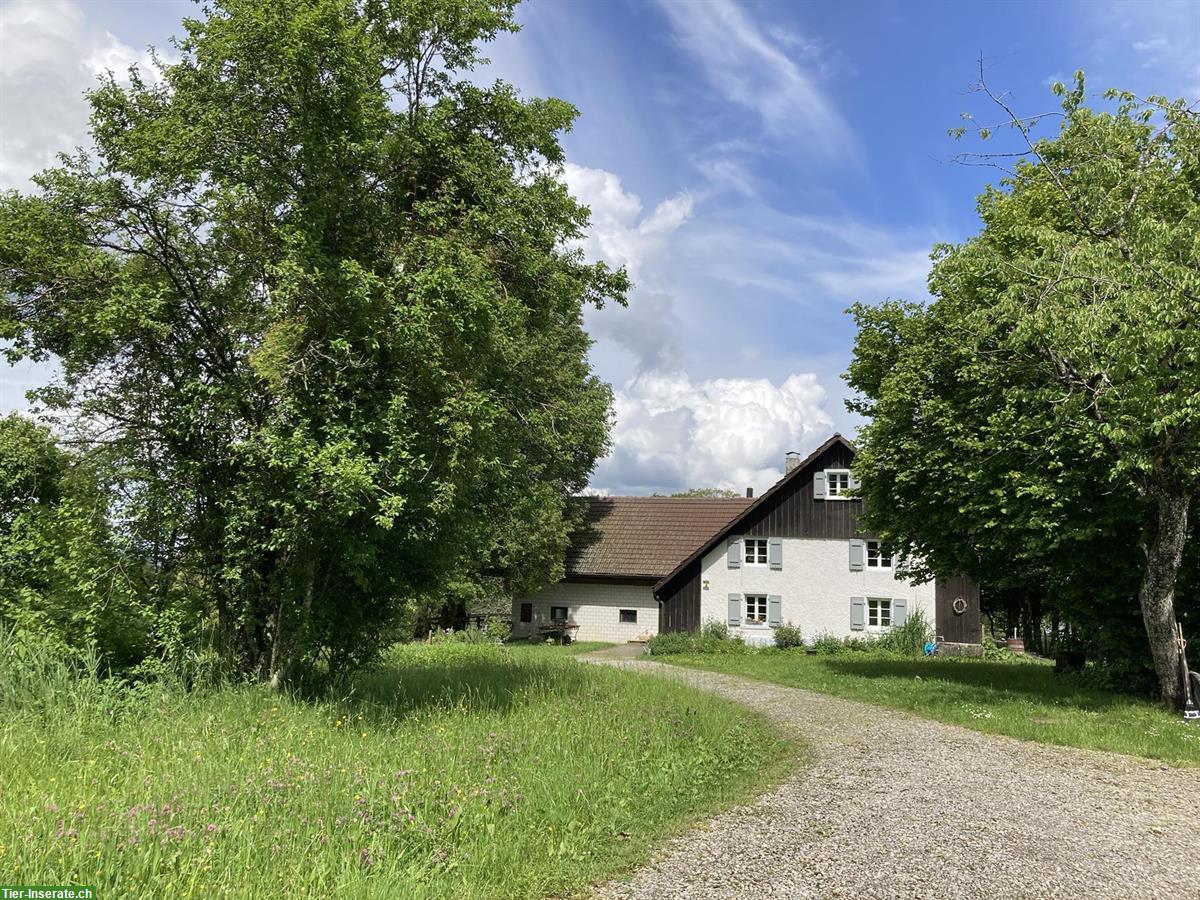 Haus mit Stall - ein Naturparadies für Sie und Ihre Pferde