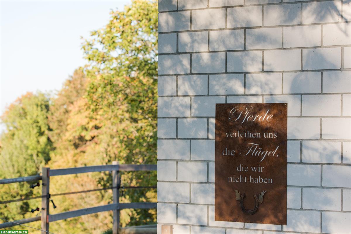 Bild 2: Haus mit Stall - ein Naturparadies für Sie und Ihre Pferde
