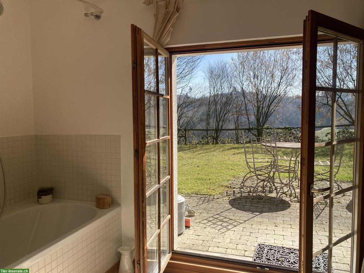 Bild 5: Haus mit Stall - ein Naturparadies für Sie und Ihre Pferde