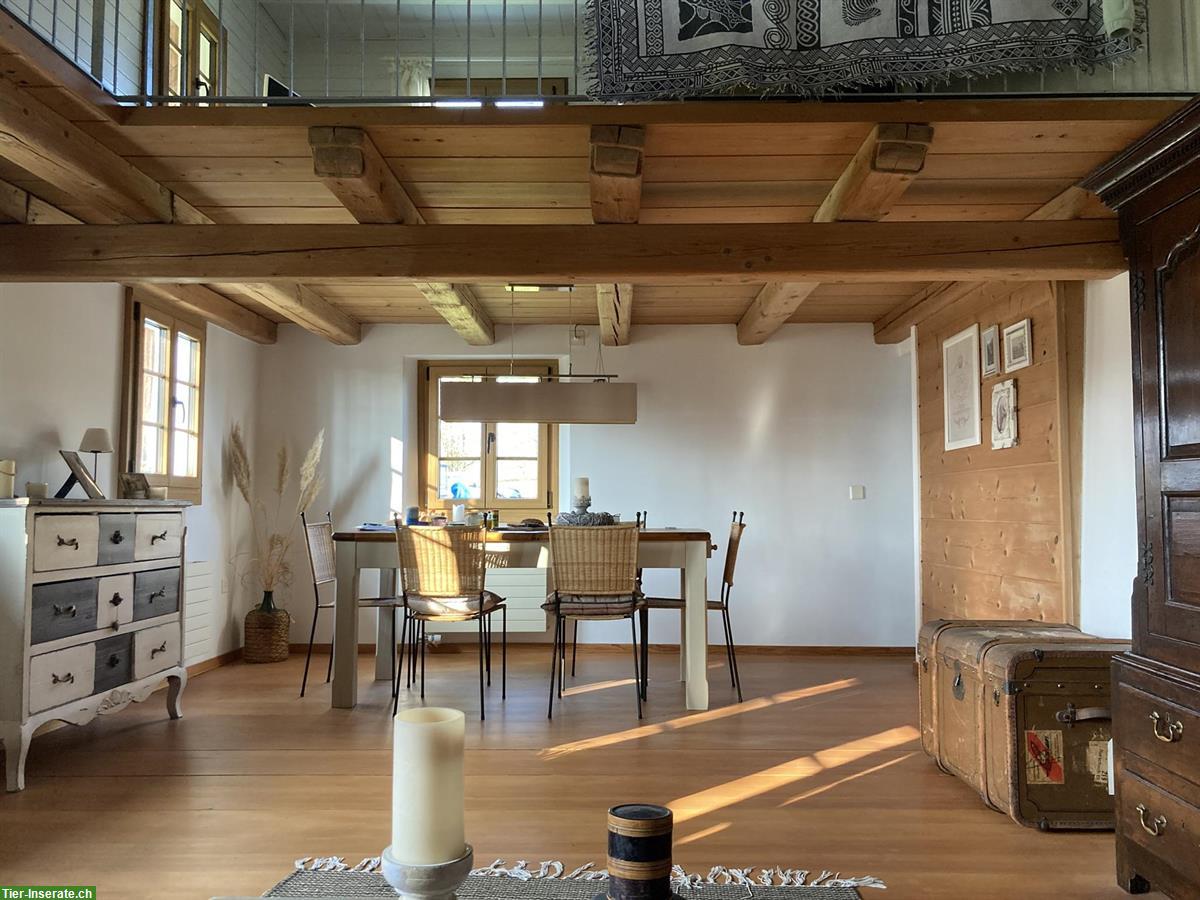 Bild 6: Haus mit Stall - ein Naturparadies für Sie und Ihre Pferde