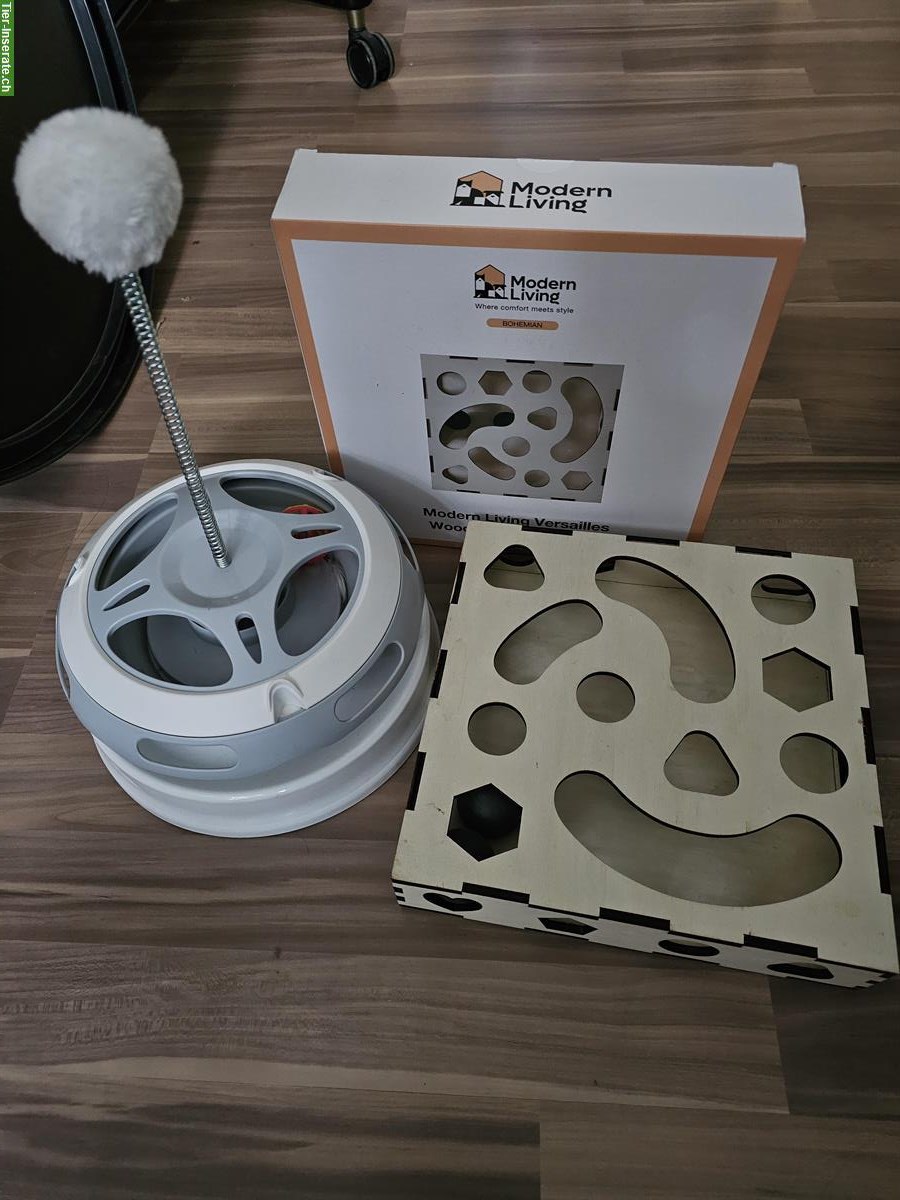 Kitten Spielsachen zu verkaufen