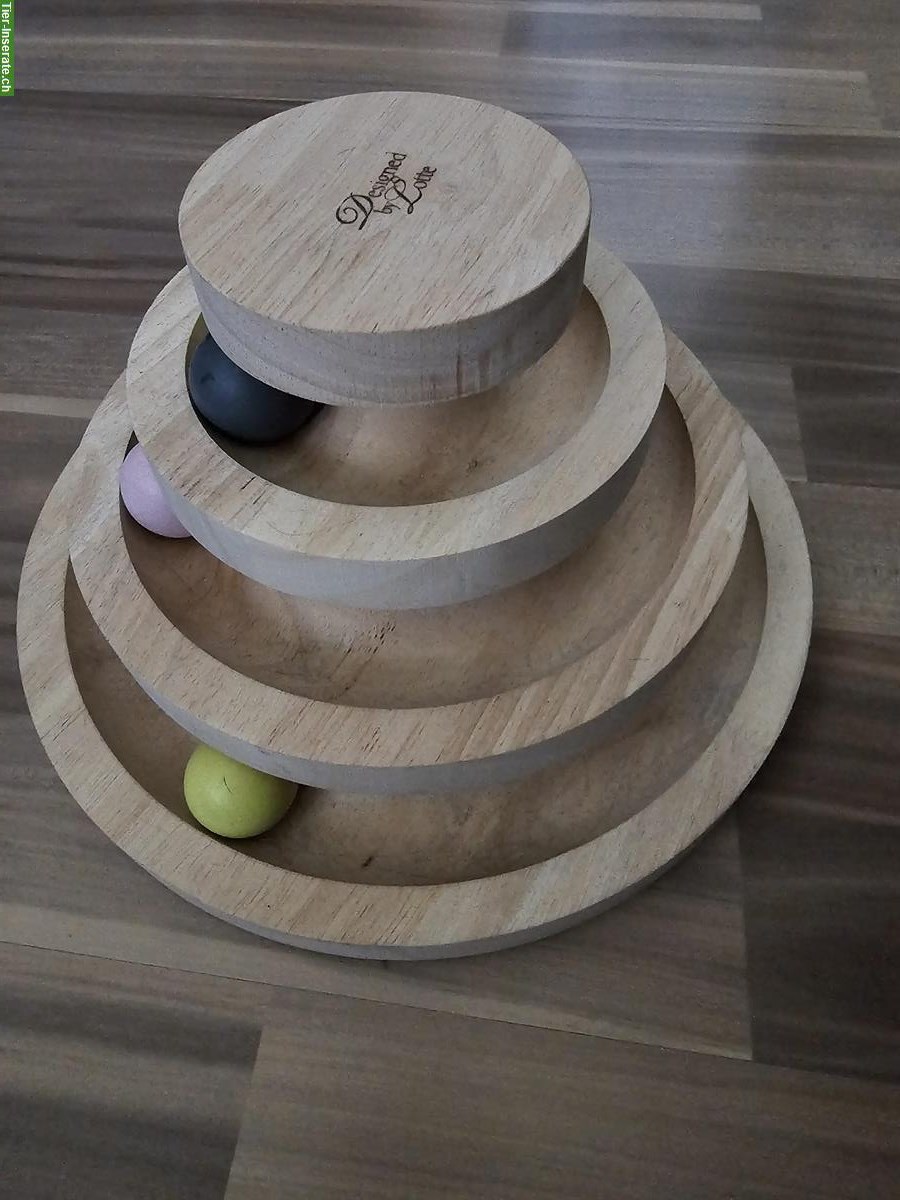 Bild 2: Kitten Spielsachen zu verkaufen