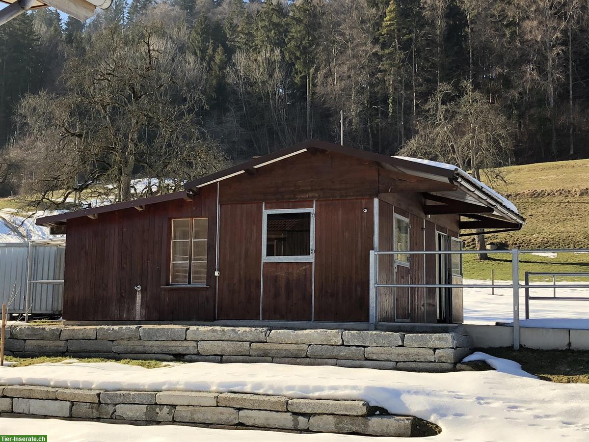 Bild 10: Wunderschöne Wohnung mit Pferdestall zur Selbstversorgung