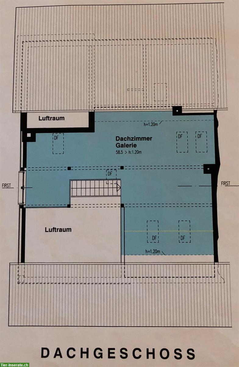 Bild 9: Wunderschöne Wohnung mit Pferdestall zur Selbstversorgung