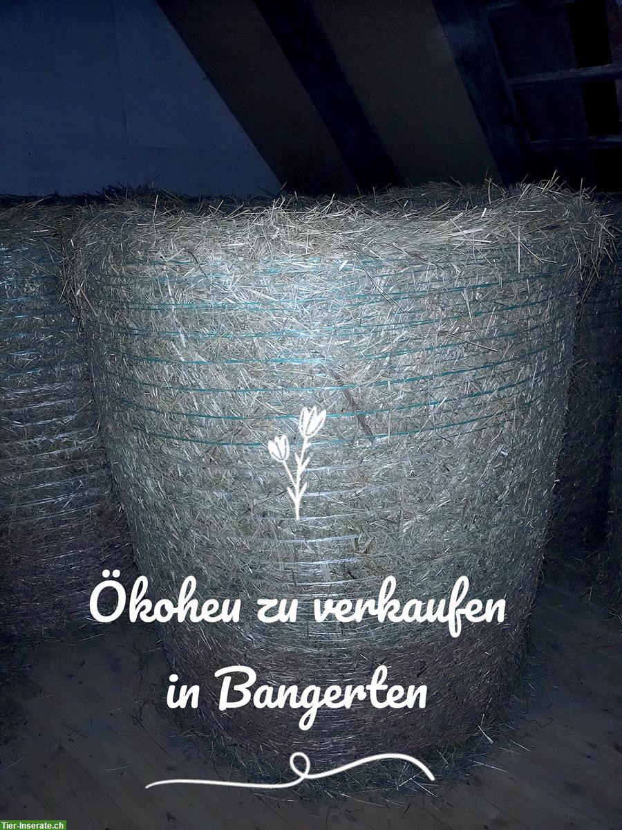 Ökoheu in grossen Rundballen