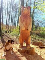 Hundebetreuung: Tagesplätze / Ferien oder Spaziergänge