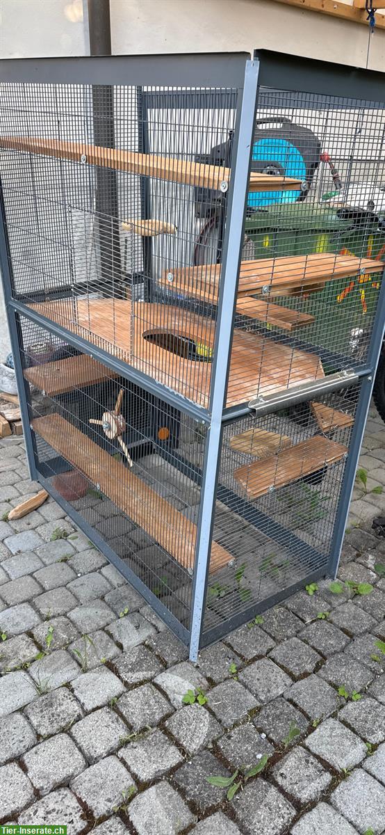 Mehrstöckige Nager Voliere zu verkaufen