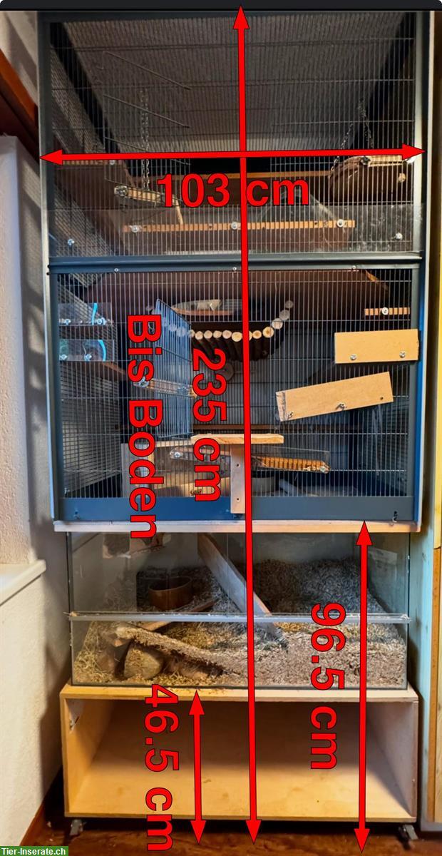 Bild 2: Mehrstöckige Nager Voliere zu verkaufen