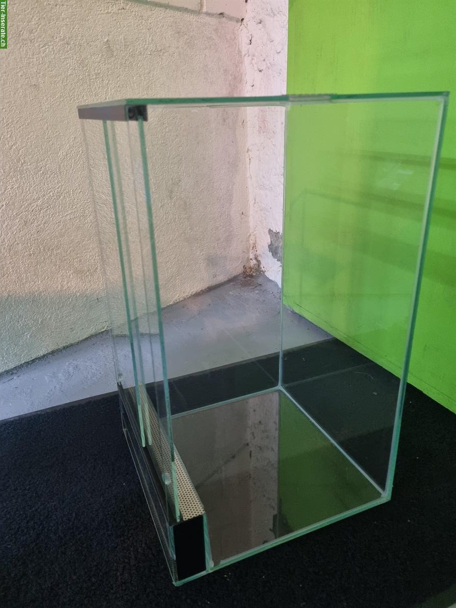 Bild 2: NEU: 2x Glasterrarium 30x30x50cm abzugeben