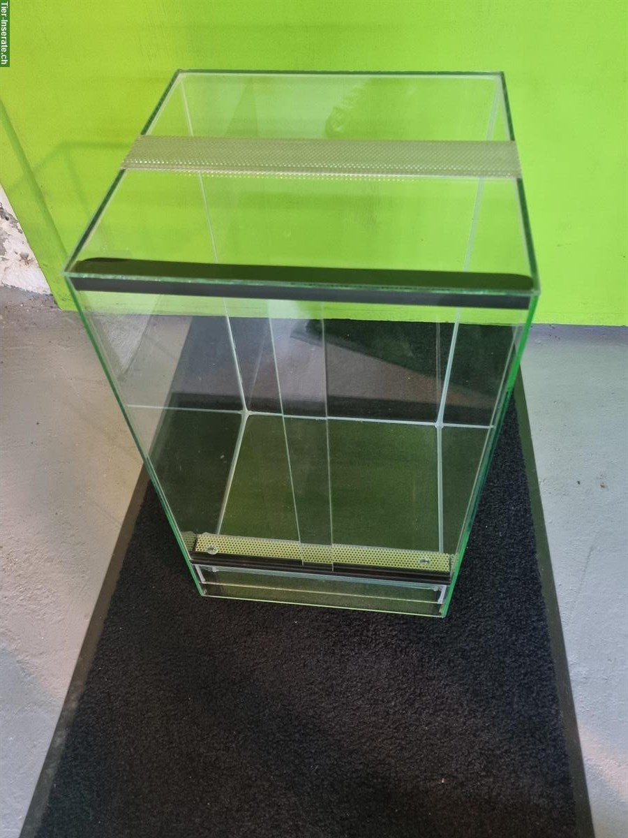 Bild 3: NEU: 2x Glasterrarium 30x30x50cm abzugeben