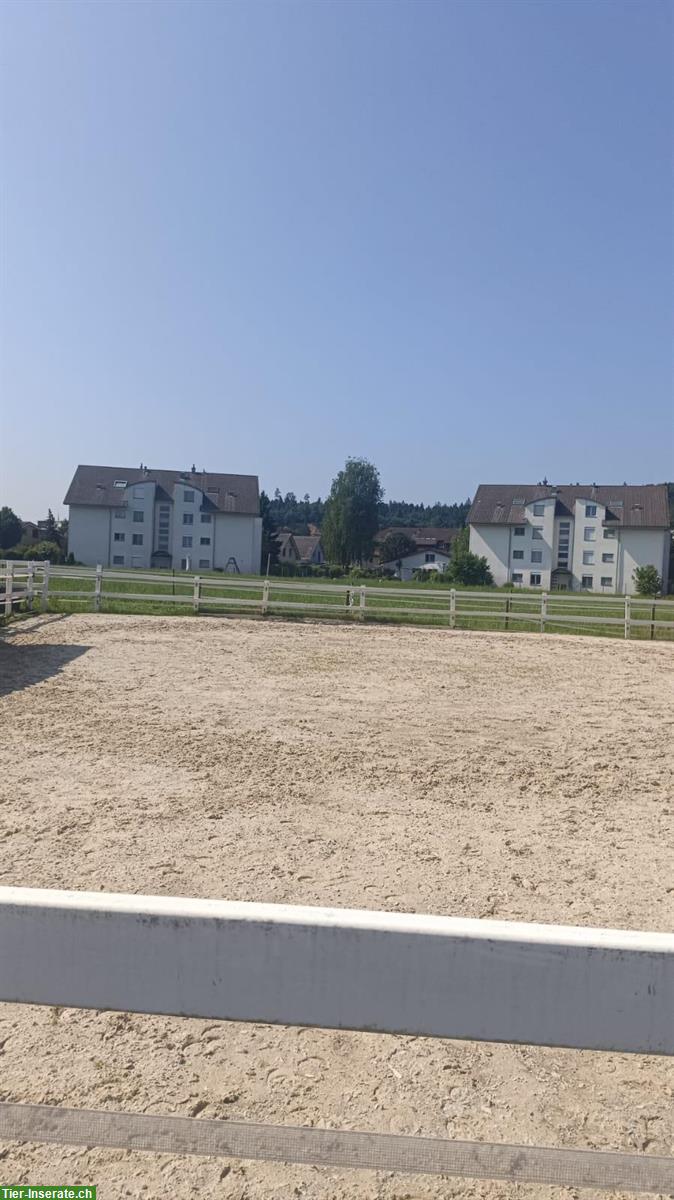 Auslaufbox zu vermieten in Holziken AG