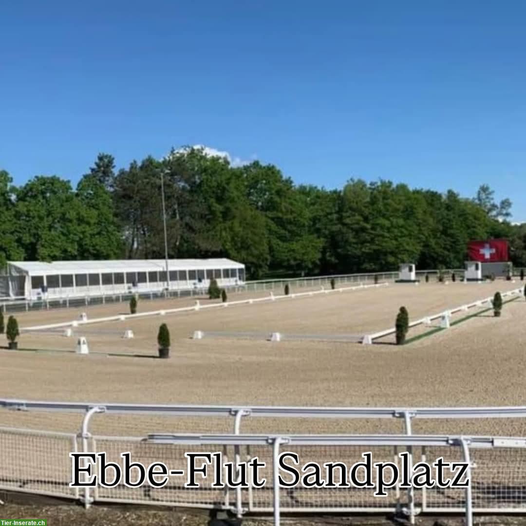 Bild 3: Luxus Pferdeboxen zu vermieten, Dielsdorf im ZH-Unterland