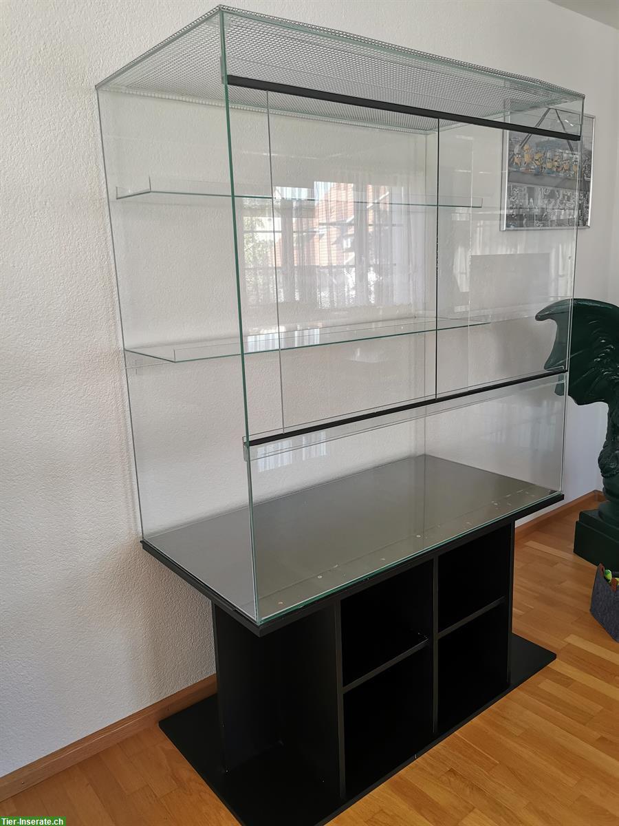 Glas Terrarium mit Untermöbel zu verkaufen