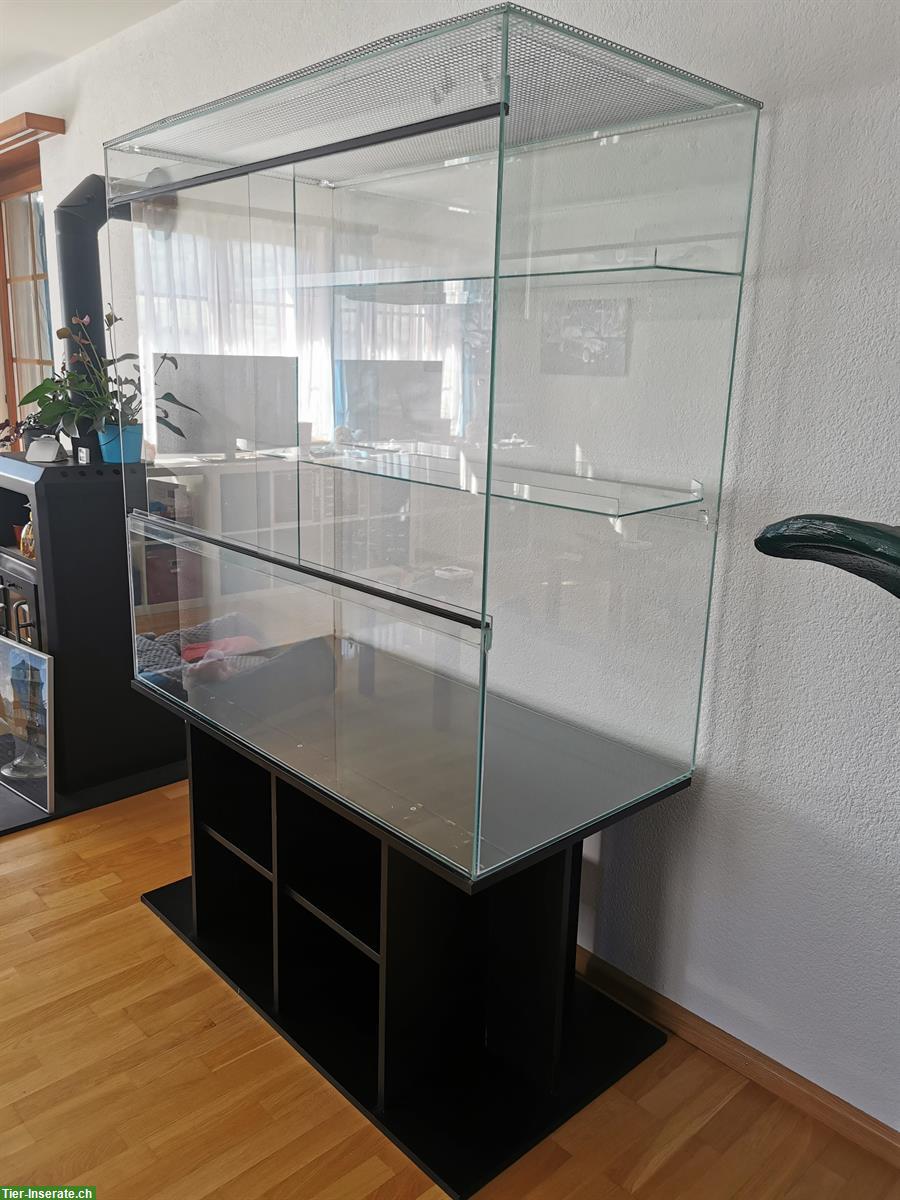 Bild 2: Glas Terrarium mit Untermöbel zu verkaufen