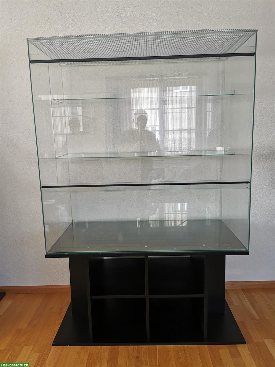 Bild 3: Glas Terrarium mit Untermöbel zu verkaufen