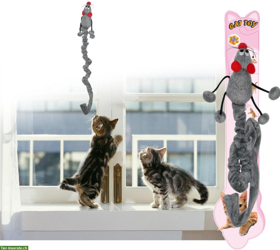 Bild 4: Katzen Kratzbaum für junge spielerische Katzenbabys