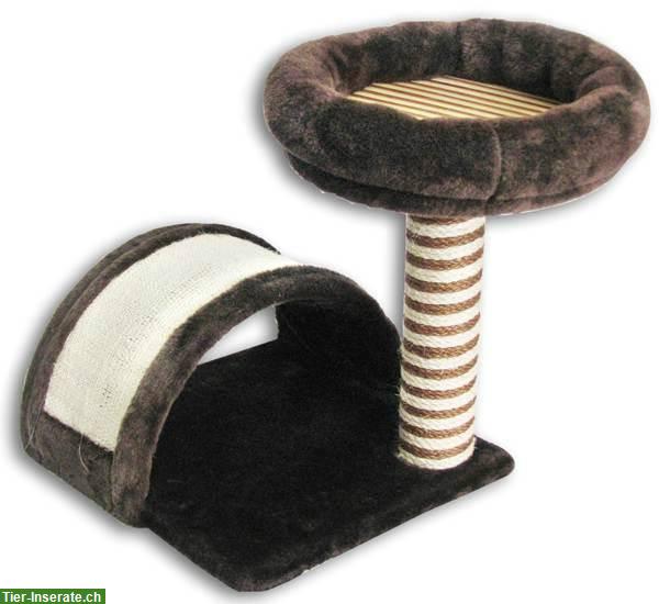 Bild 5: Katzen Kratzbaum für junge spielerische Katzenbabys