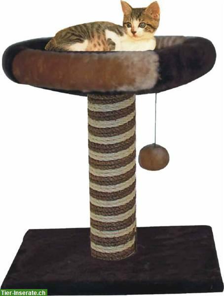 Bild 8: Katzen Kratzbaum für junge spielerische Katzenbabys