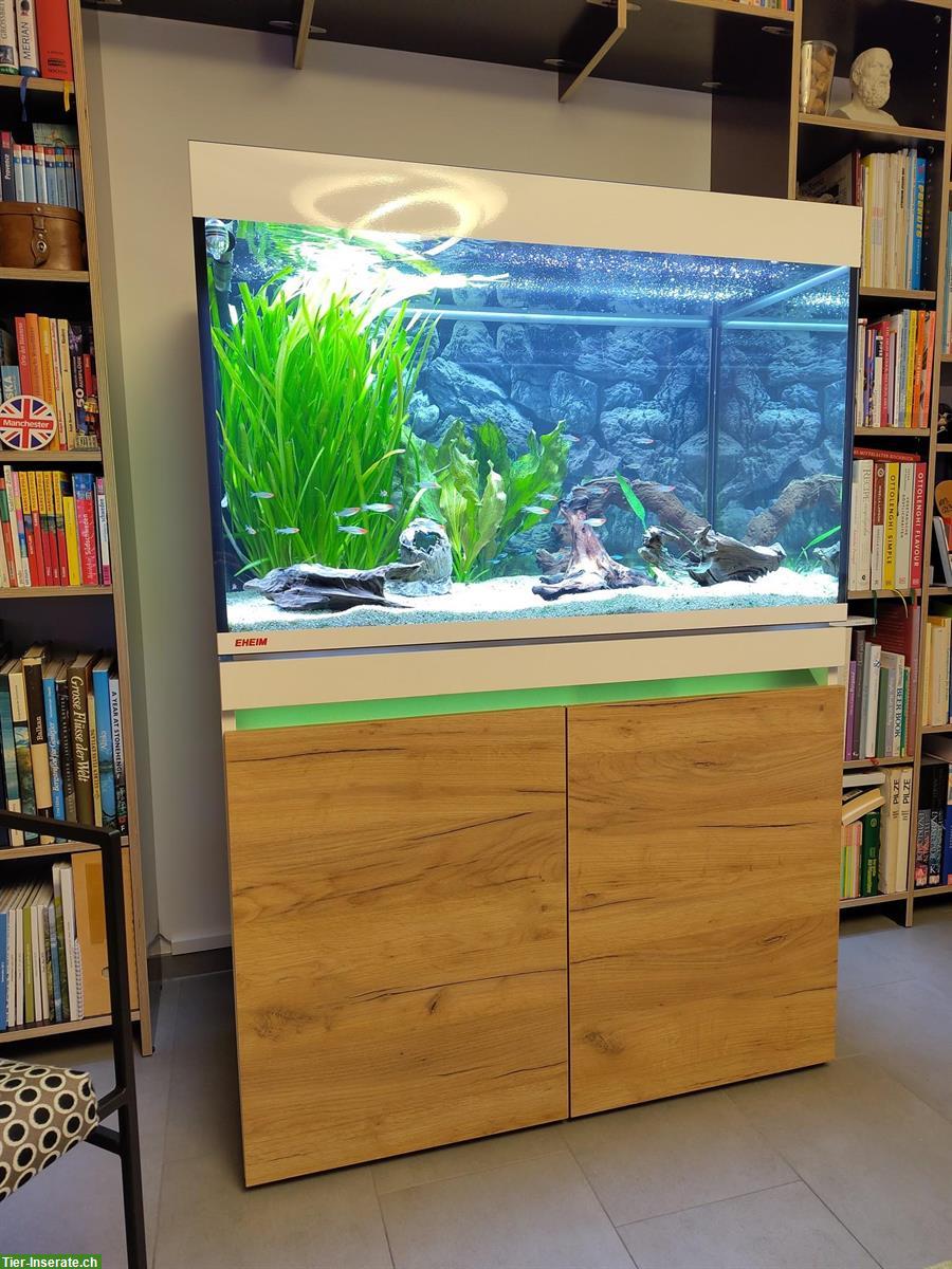Aquarium EHEIM Incpiria 330 mit viel Zubehör