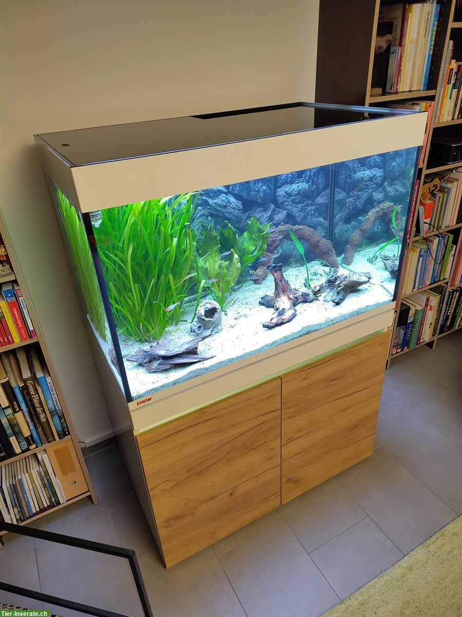 Bild 2: Aquarium EHEIM Incpiria 330 mit viel Zubehör