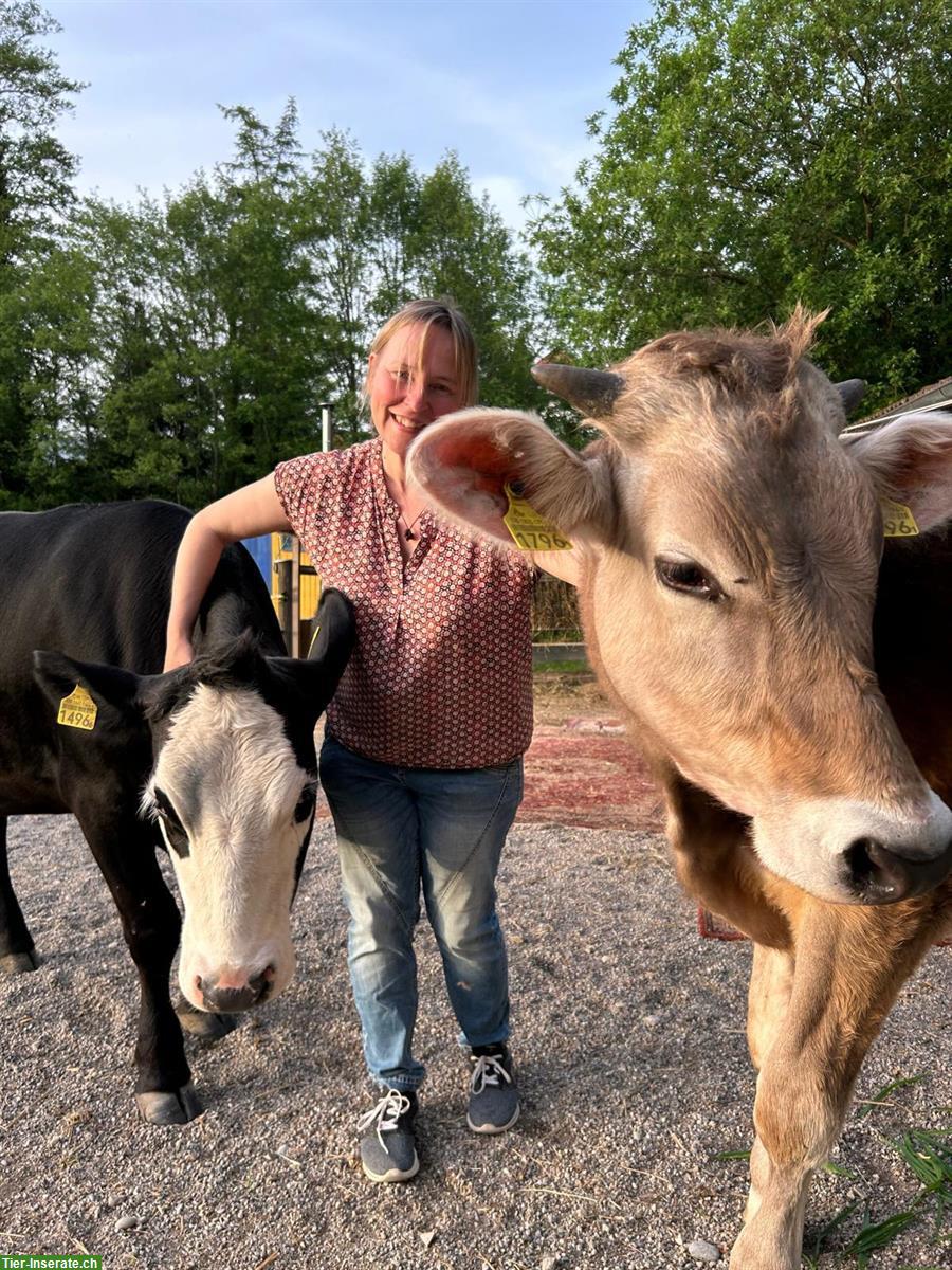 Mini-Lebenshof sucht tierliebe Unterstützung