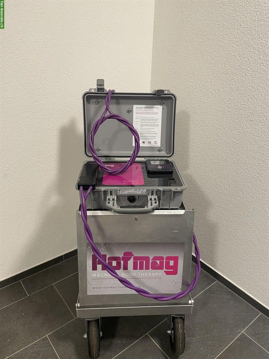 ✨ Hofmag K8 Therapiegerät zu verkaufen ✨