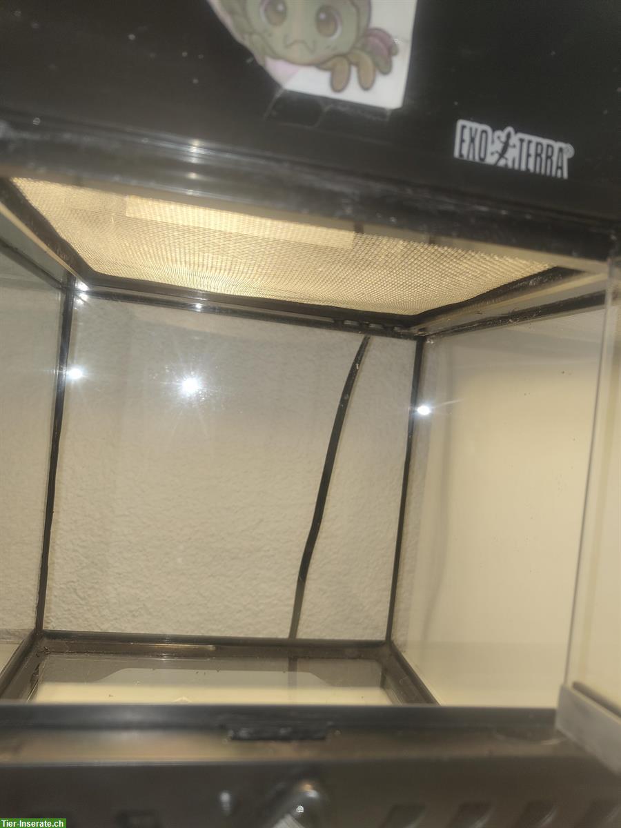 Bild 3: Exo Terrarien mit Beleuchtung