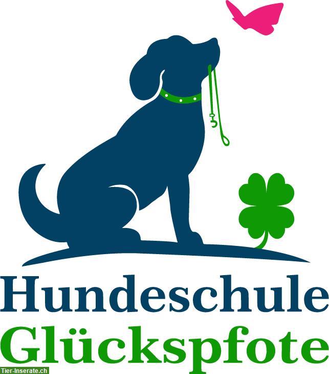 Hundeschule Glückspfote, Raum Embrach, Bülach, Kloten