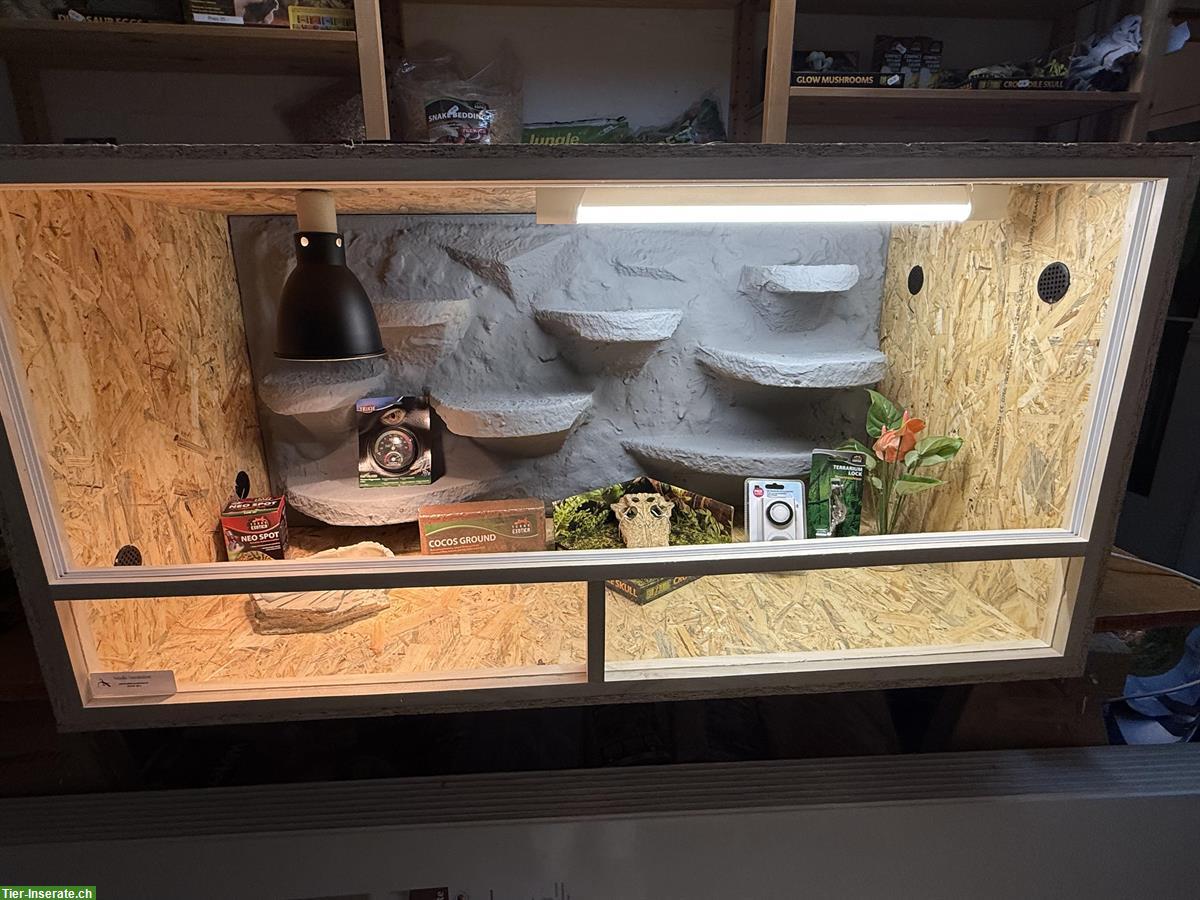 Bild 6: NEU! Terrarium 150x60x60cm inkl. Zubehör