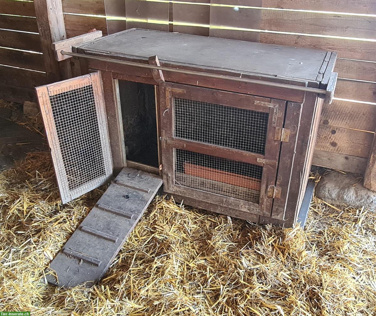 Toller Enten Stall zu verkaufen