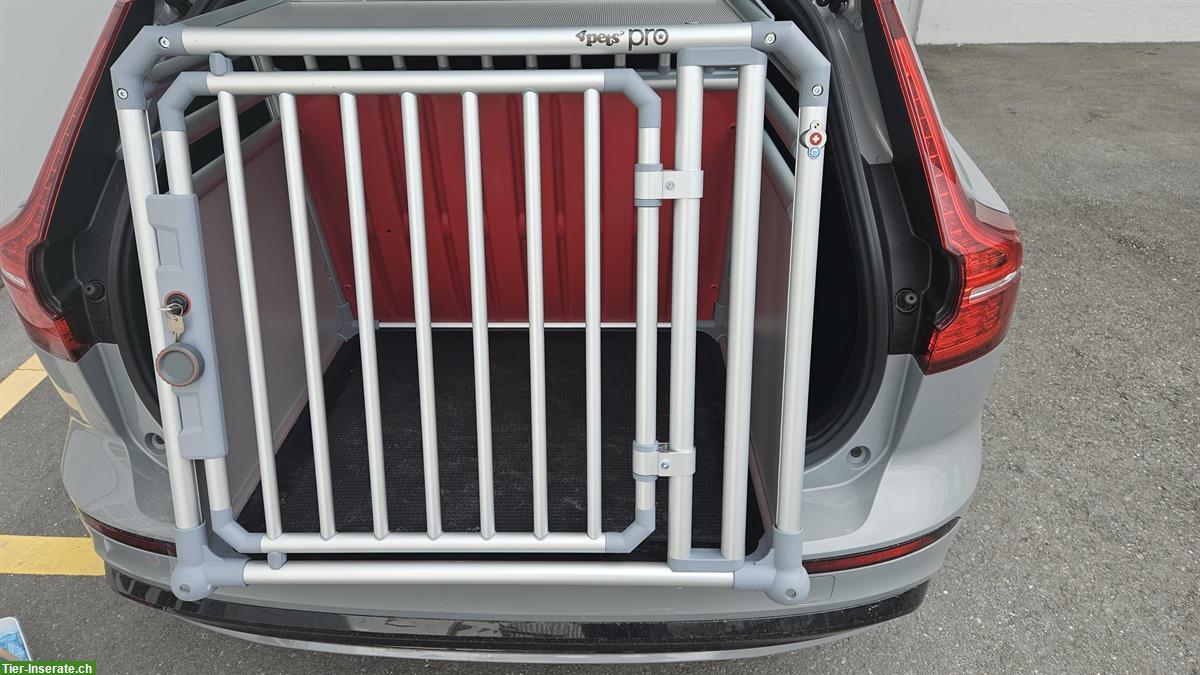 Hundebox 4pets PRO 4S zu verkaufen