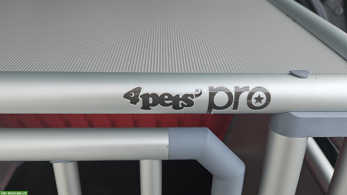 Bild 4: Hundebox 4pets PRO 4S zu verkaufen
