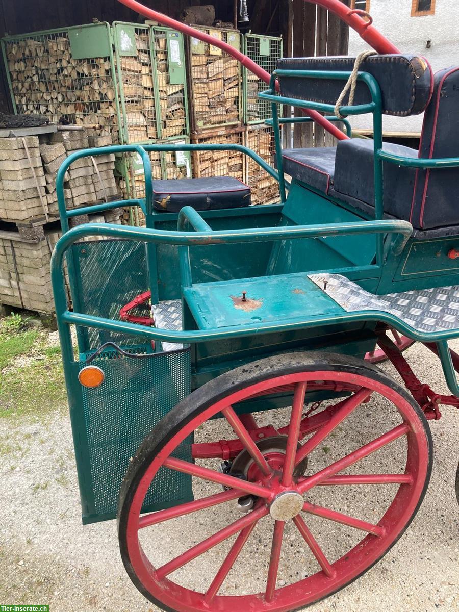 Bild 3: Pferdewagen, Pferdekutsche zu verkaufen