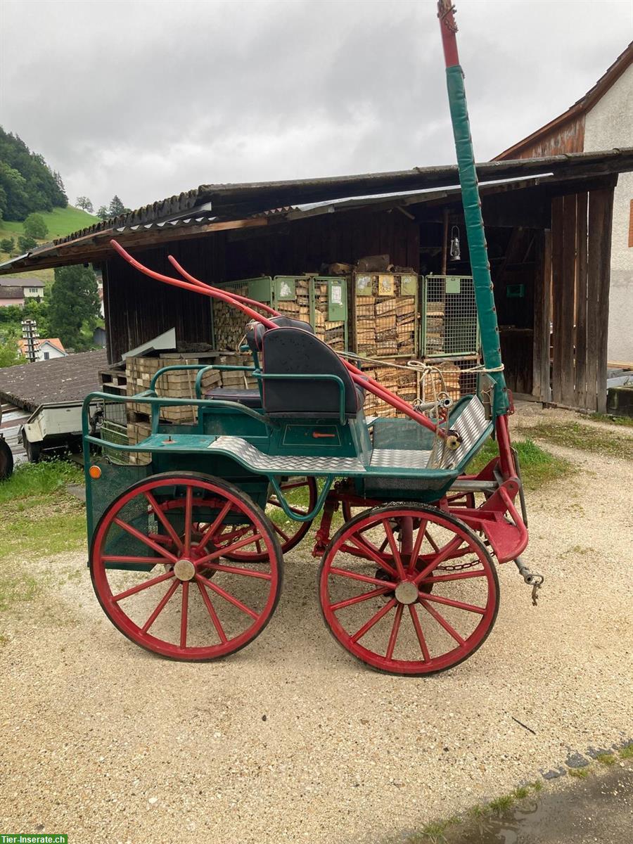 Bild 4: Pferdewagen, Pferdekutsche zu verkaufen