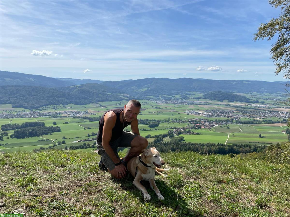 Biete flexible Hundebetreuung, Raum Seltisberg BL