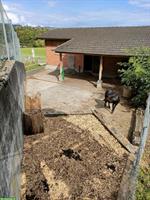 Platz frei für Ponys in Freilaufstall im Aargau