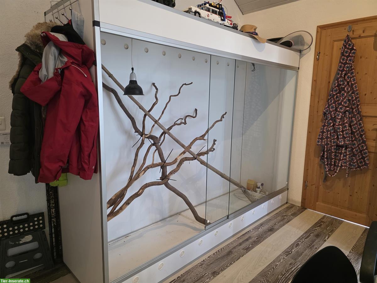 AAS Terrarium 240x70x180cm zu verkaufen
