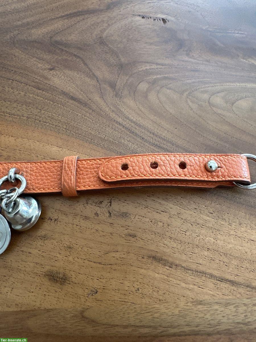 Bild 3: Hermes Hundehalsband mit Leine zu verkaufen