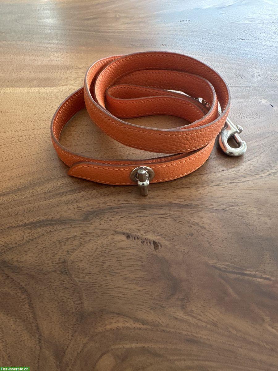 Bild 4: Hermes Hundehalsband mit Leine zu verkaufen