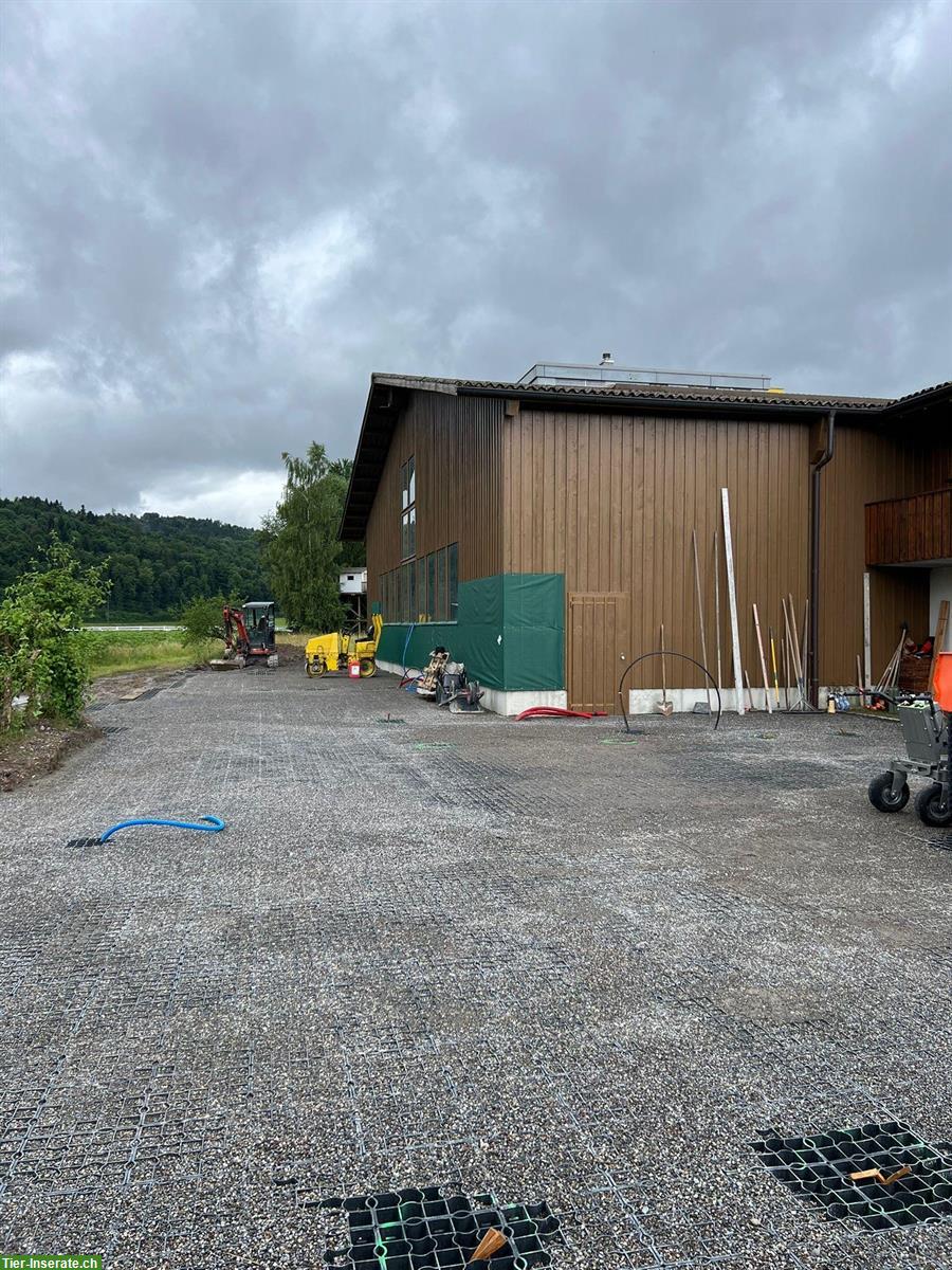 Offenstall für Islandpferde - Allergiker geeignet und Reithalle
